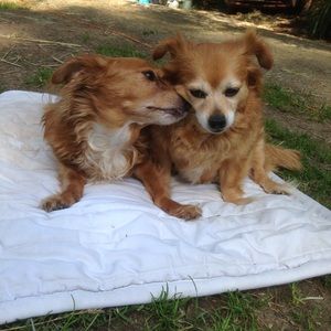 Meet your Posher, Sondra